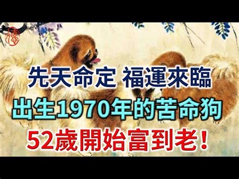 1970屬狗五行缺什麼|【1970年五行屬什麼】「狗年」五行屬什麼？揭秘1970年屬狗者。